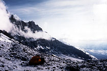Aconcagua