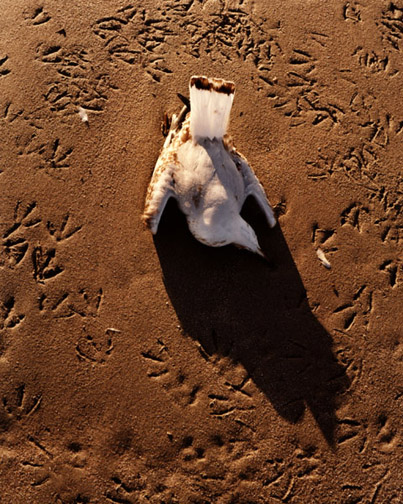 Murchison Beach