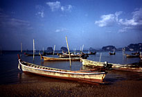 Thai Boats